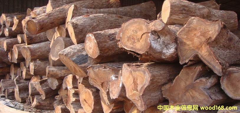 �c���鿴�����S����ľ�Ŵ�DƬ