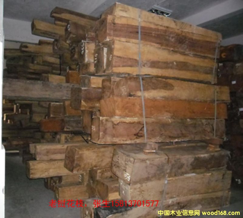 �ϓ뻨֦�Ҿ��Ϸ��ĵ�Ԕ��(x��)��B