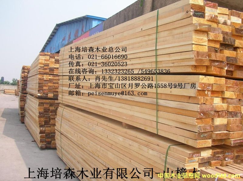 ɽ��ľ��2