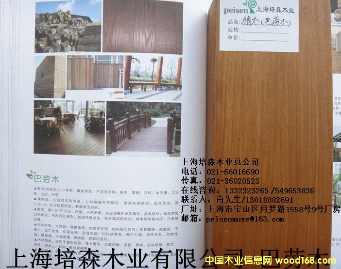 �̈́�ľ��1��Ԕ����B