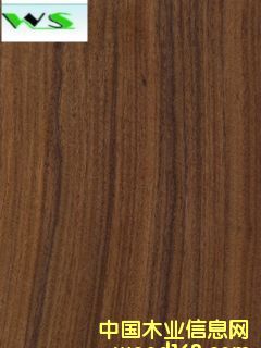 �M����֦ľƤ