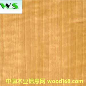 �����tӰľƤ��Ԕ����B