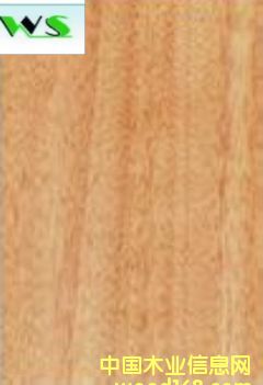 �����t����ľƤ��Ԕ����B