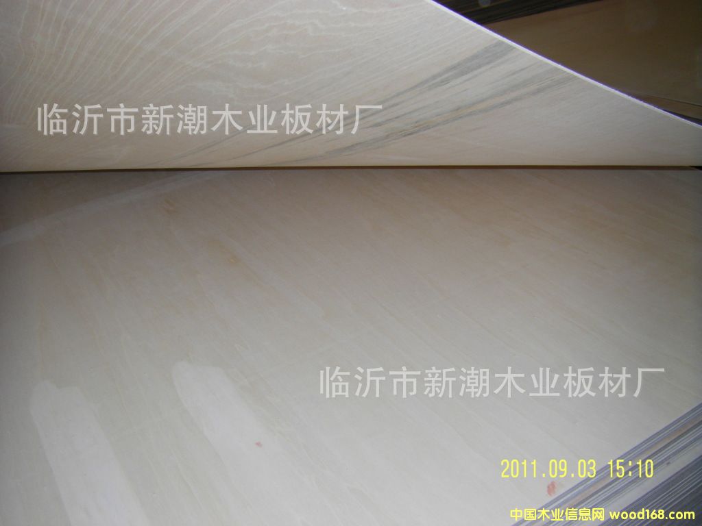 ���Пo�p����������