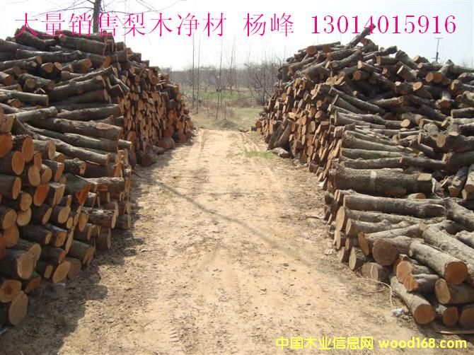 ��ľ���ĵ�Ԕ����B