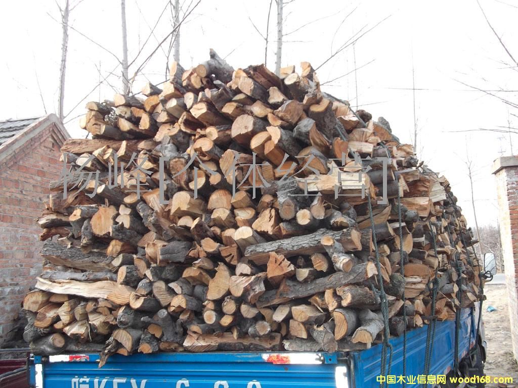 �����Ԕ����B