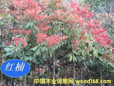 [��] ���ľN�磨�}����E骡�С�~���������ٻ�����t骣�