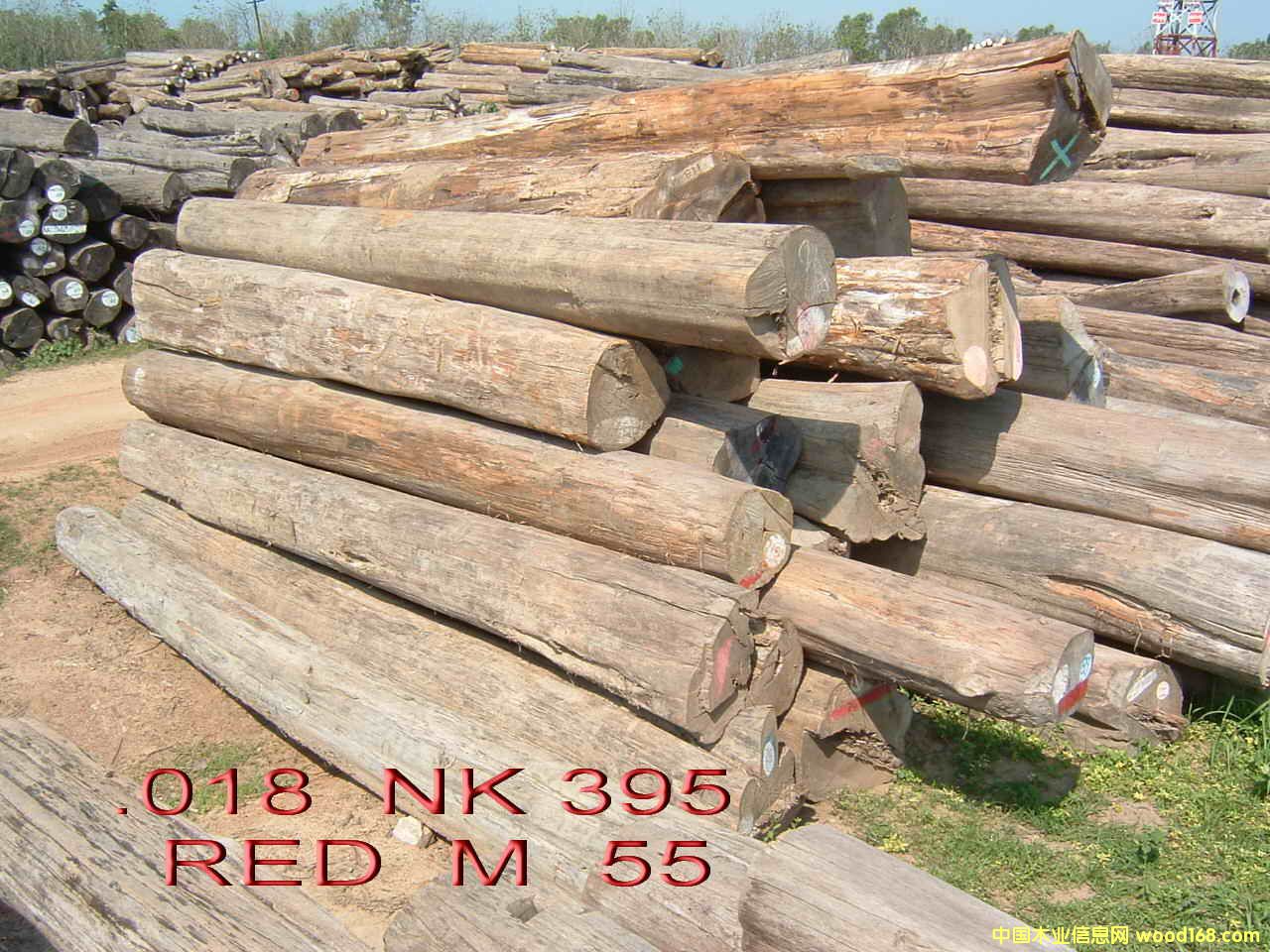 ������ľ��Ԕ��(x��)��B