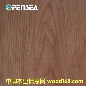 ���ҵ�Ԕ��(x��)��B