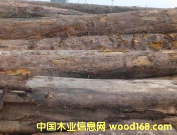 �sľ��Ԕ��(x��)��B