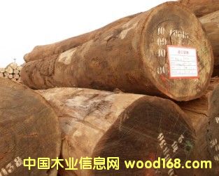 �W����Ԕ��(x��)��B