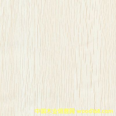 ����ľ��Ԕ��(x��)��B