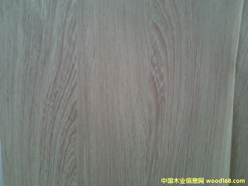 �u��ľ��Ԕ��(x��)��B