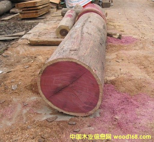 �c(di��n)���鿴��оľ�Ŵ�DƬ