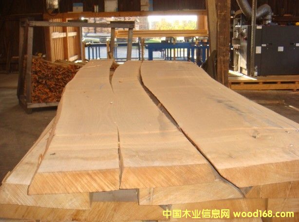 �W��ɽë�Σ���ľ����Ԕ��(x��)��B