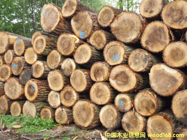 �W�ޗ�ľ��Ԕ��(x��)��B