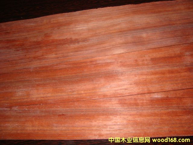 �t̴ľƤ��Ԕ��(x��)��B