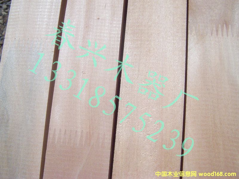 ��ľָ�ӗl��Ԕ��(x��)��B