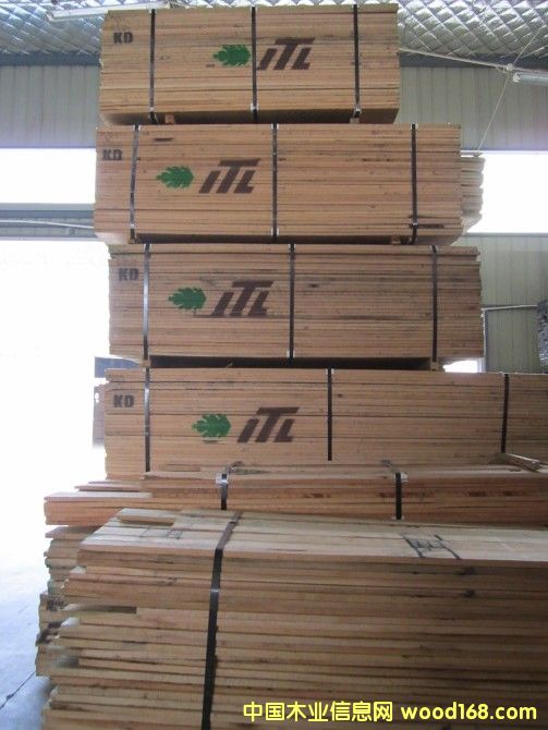 �c���鿴�t��Ŵ�DƬ