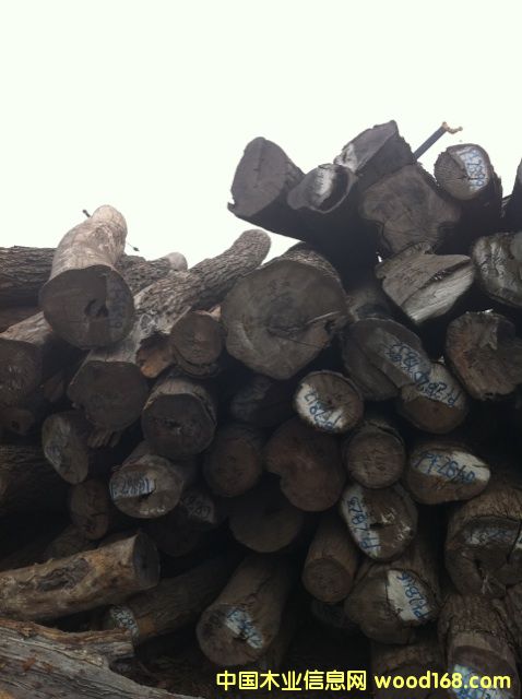 ��(y��u)�|(zh��)�tľԭľ����С�~�t̴��Ԕ��(x��)��B