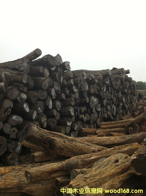 ��(y��u)�|(zh��)С�~�t̴��Ԕ��(x��)��B