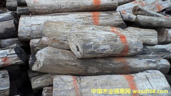 ����(y��ng)- �ϓ���̴ԭľ��Ԕ��(x��)��B