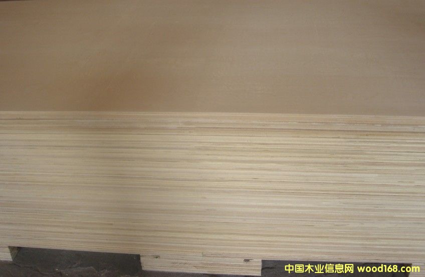 ��ľ�z�ϰ��Ԕ��(x��)��B