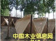 �ӱ���Ƥ�S��Ԕ����B