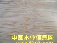 ������Ƥ��Ԕ����B