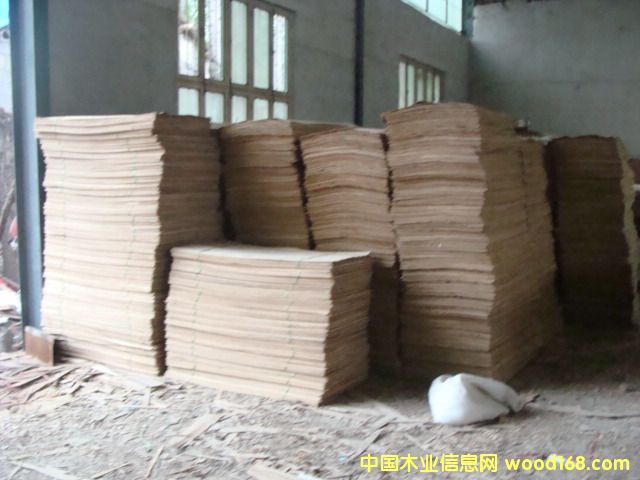 ��ľо���Ԕ����B