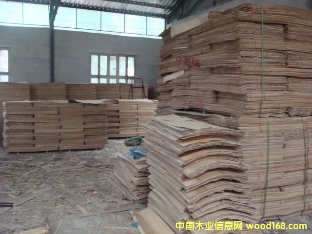 ��ľ�A��Ƥ��Ԕ����B