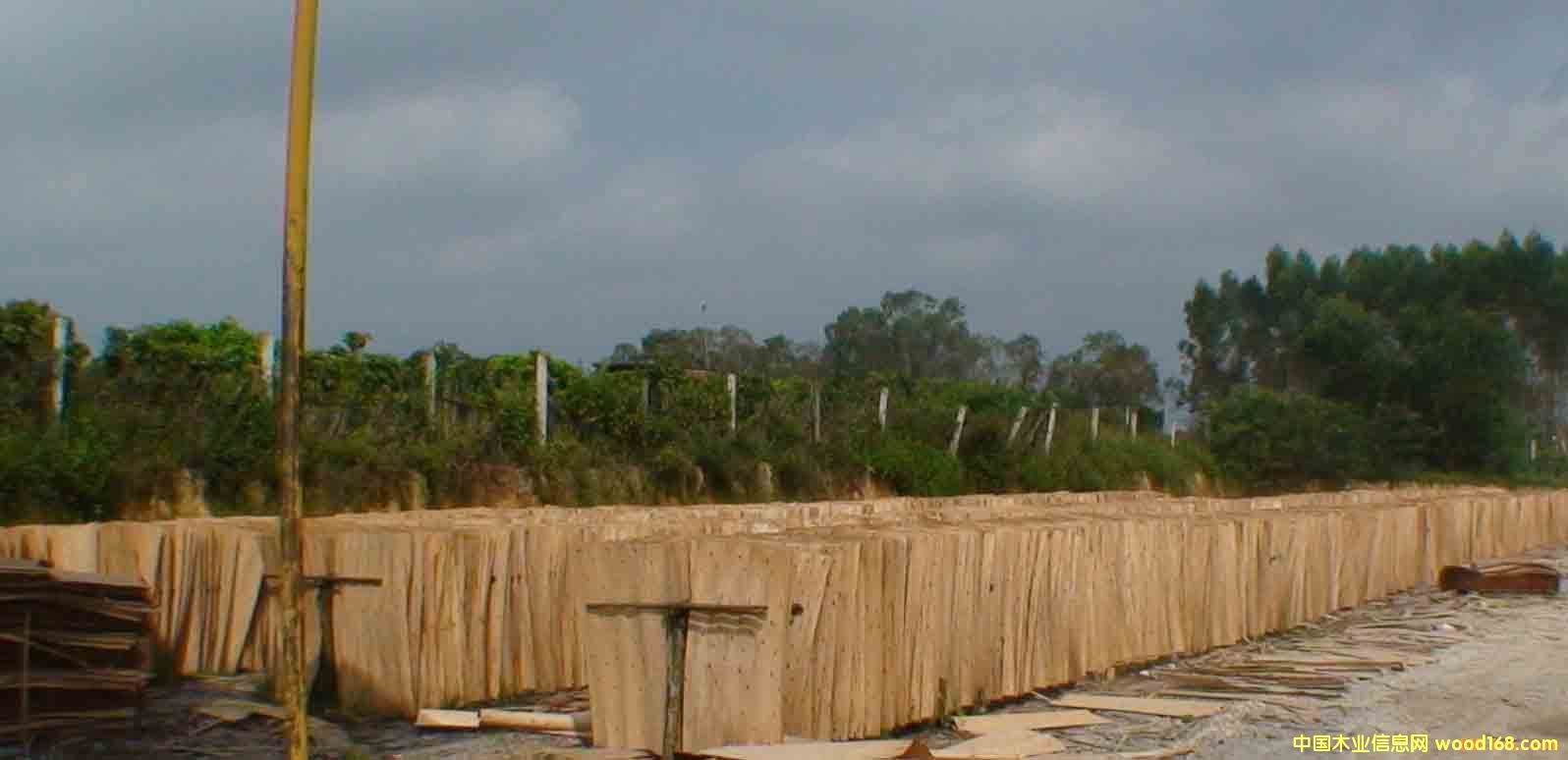 ��ľ�ΰ��Ԕ����B