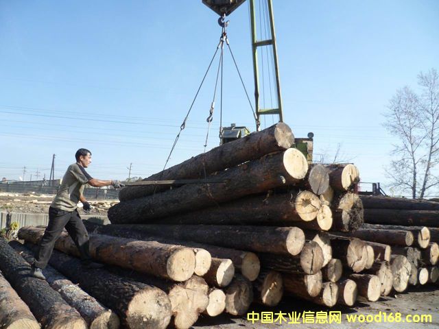 ����ԭľ��Ԕ��(x��)��B