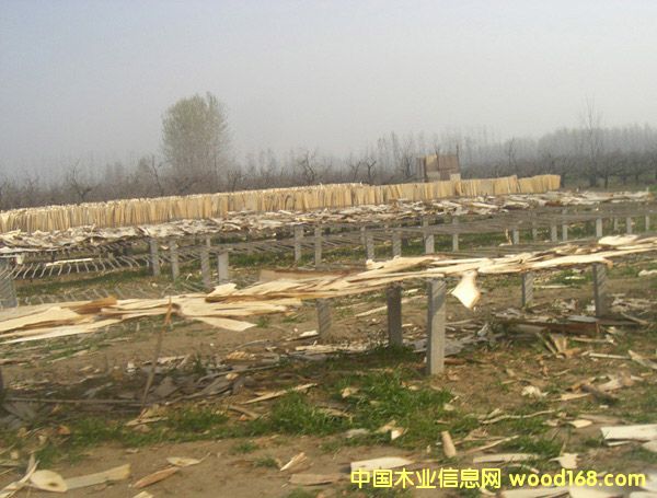 ��ľ��Ƥ��Ԕ��(x��)��B