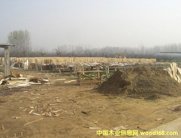 ��ľ��Ƥ��Ԕ��(x��)��B