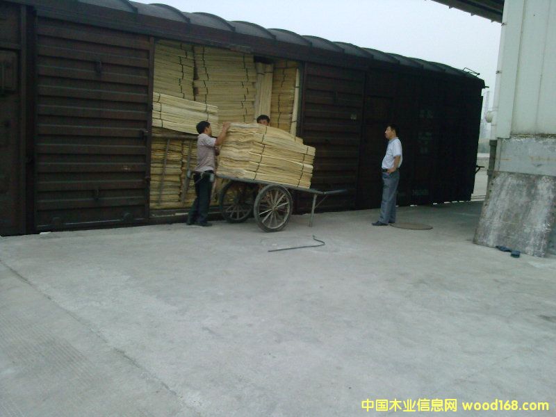 ��ľ��Ƥ��Ԕ��(x��)��B