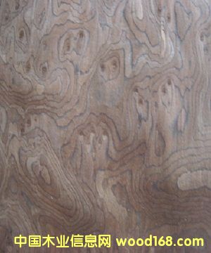 ľƤ���l(f��)����Ӱľ