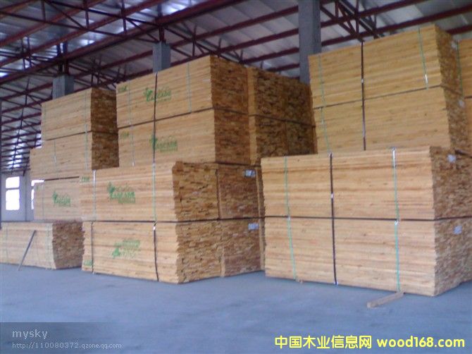 �����Ԕ��(x��)��B