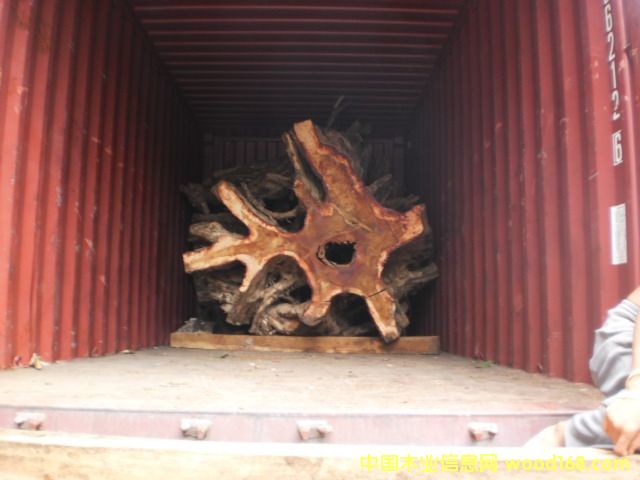 �{���� Narra ��Ԕ��(x��)��B