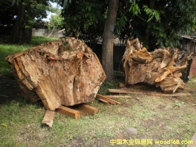 �{���� Narra ����̴����Ԕ��(x��)��B