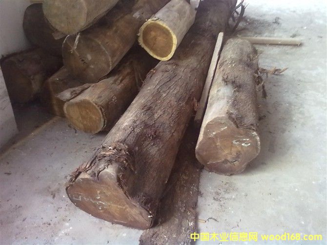 ��˼ľ��Ԕ��(x��)��B