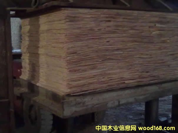 6����ģ���䉺