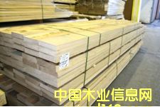 ��ľ䏲ĵ�Ԕ����B