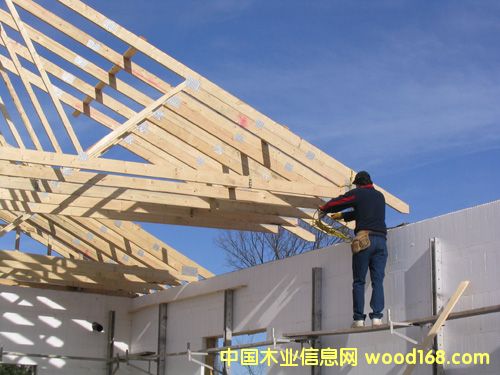 ������hɽ�|���_ľ�I(y��)���޹�˾�g���Æΰ�ӷe��LVL��ľ��Ԕ����B