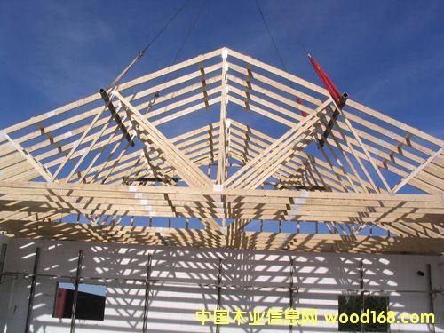 ���ݽ����Ã�(y��u)�|(zh��)ȫ��ľlvl����-ɽ�|���_ľ�I(y��)���޹�˾����(y��ng)��Ԕ����B