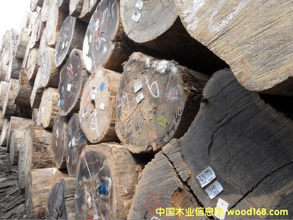 �T(m��n)���Ԕ��(x��)��B