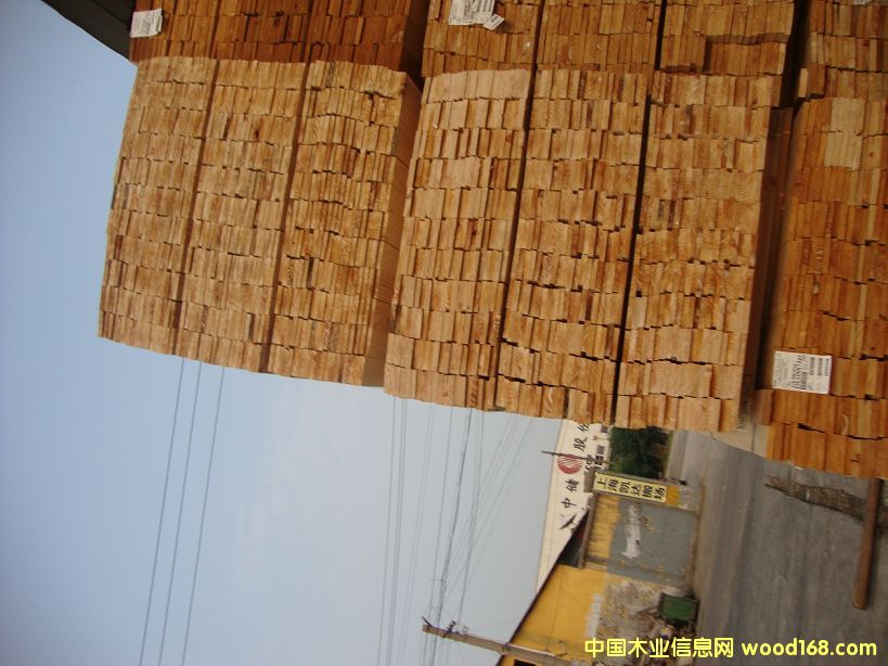 �M(j��n)��ݗ���� ���1.6cm��� 