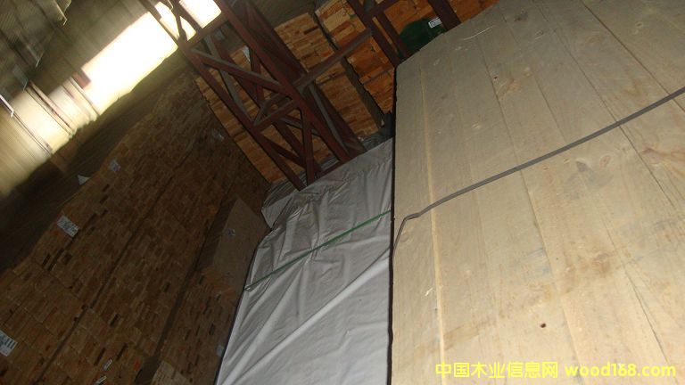 �M(j��n)��ݗ���� ���1.9cmë�� 