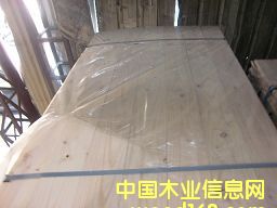 �����m�������M(j��n)��ݗ����