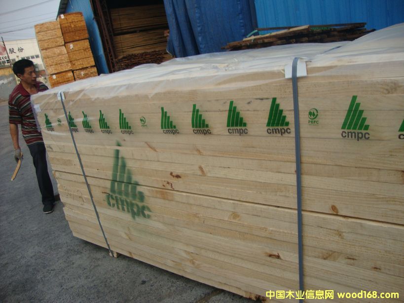 �M(j��n)��ݗ���� ���5.0cmë�� ��Ԕ��(x��)��B